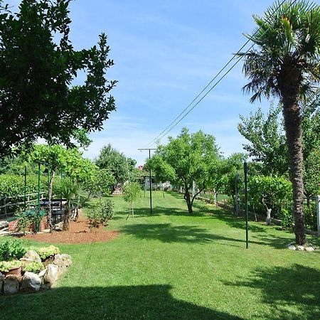 Apartments Sofia Banjole Δωμάτιο φωτογραφία